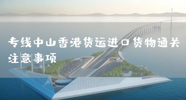 專線中山香港貨運進口貨物通關注意事項(圖1)