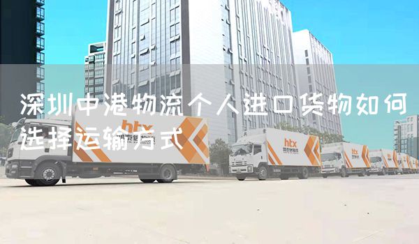 深圳中港物流個人進口貨物如何選擇運輸方式(圖1)