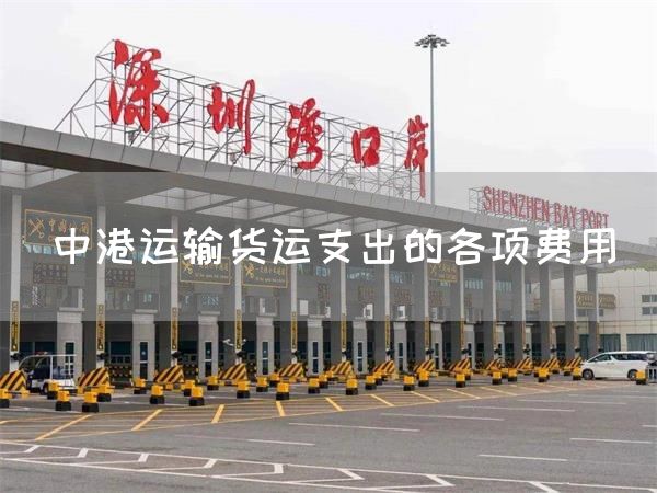 中港運輸貨運支出的各項費用(圖1)