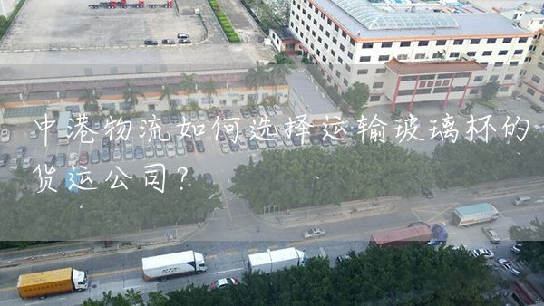 中港物流如何選擇運輸玻璃杯的貨運公司？(圖1)