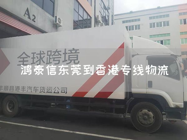 鴻泰信東莞到香港專線物流(圖1)