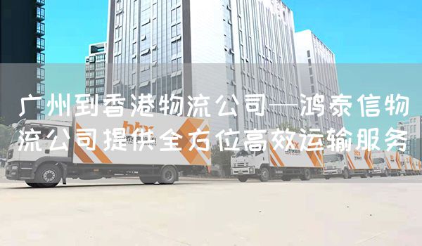 廣州到香港物流公司—鴻泰信物流公司提供全方位高效運輸服務(圖1)