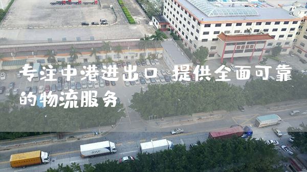 專注中港進出口，提供全面可靠的物流服務(圖1)