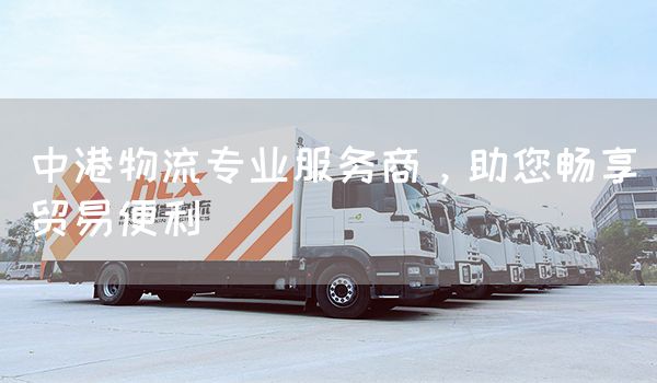 中港物流專業服務商，助您暢享貿易便利(圖1)