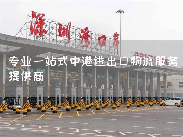 專業一站式中港進出口物流服務提供商(圖1)
