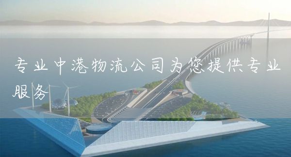 專業(yè)中港物流公司為您提供專業(yè)服務(wù)(圖1)